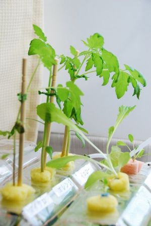 記事番号:86708/アイテムID:3421497の画像